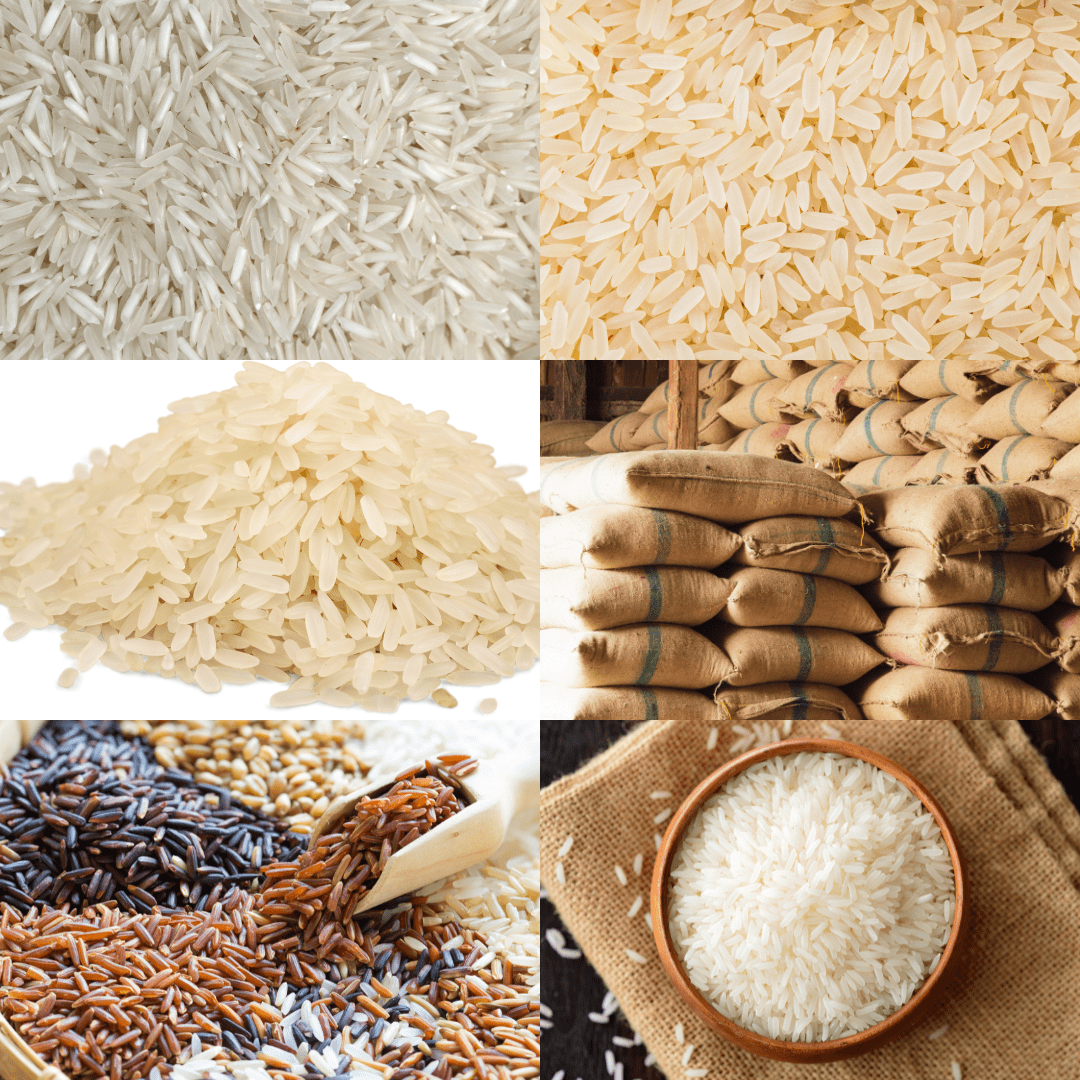 Forign Rice AstralinkImpex – Global Import and Export Leaders